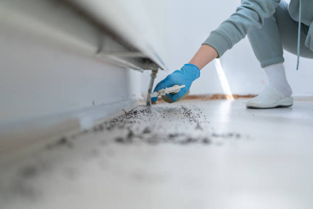 Pest Prevention Services in Colonial Park, PA